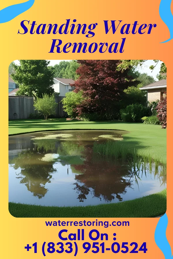 Standing Water Removal in Spartanburg, SC